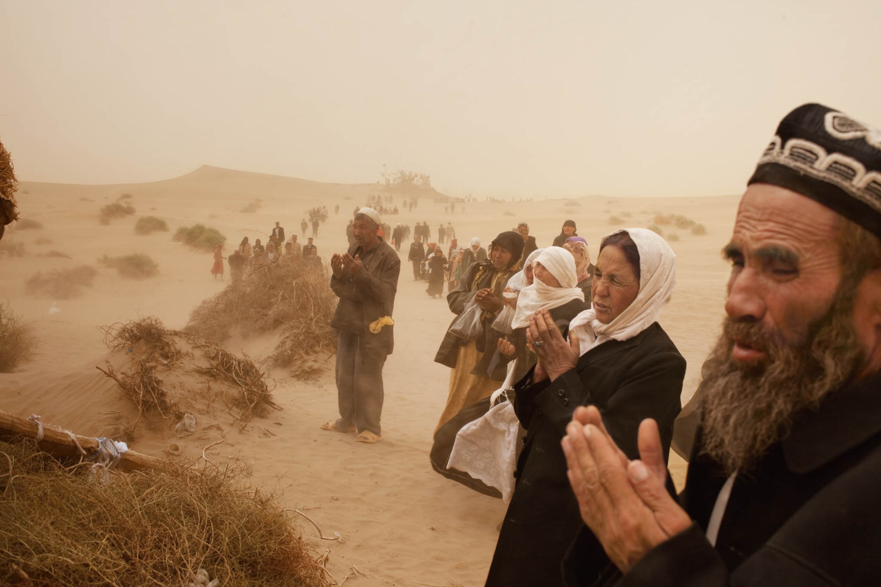 pod-23-02-2021_nationalgeographic_1270568.jpg