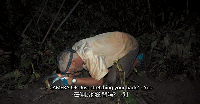 IMG_7934.GIF