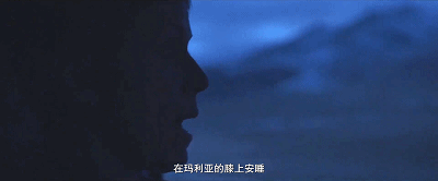 IMG_8082.GIF