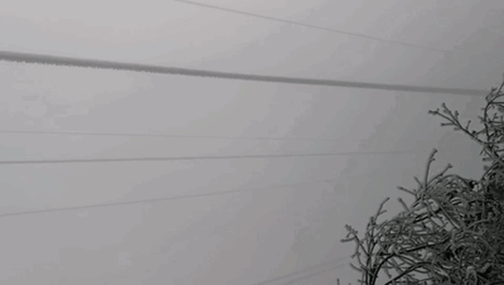 8.gif