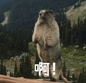 640 (6).gif