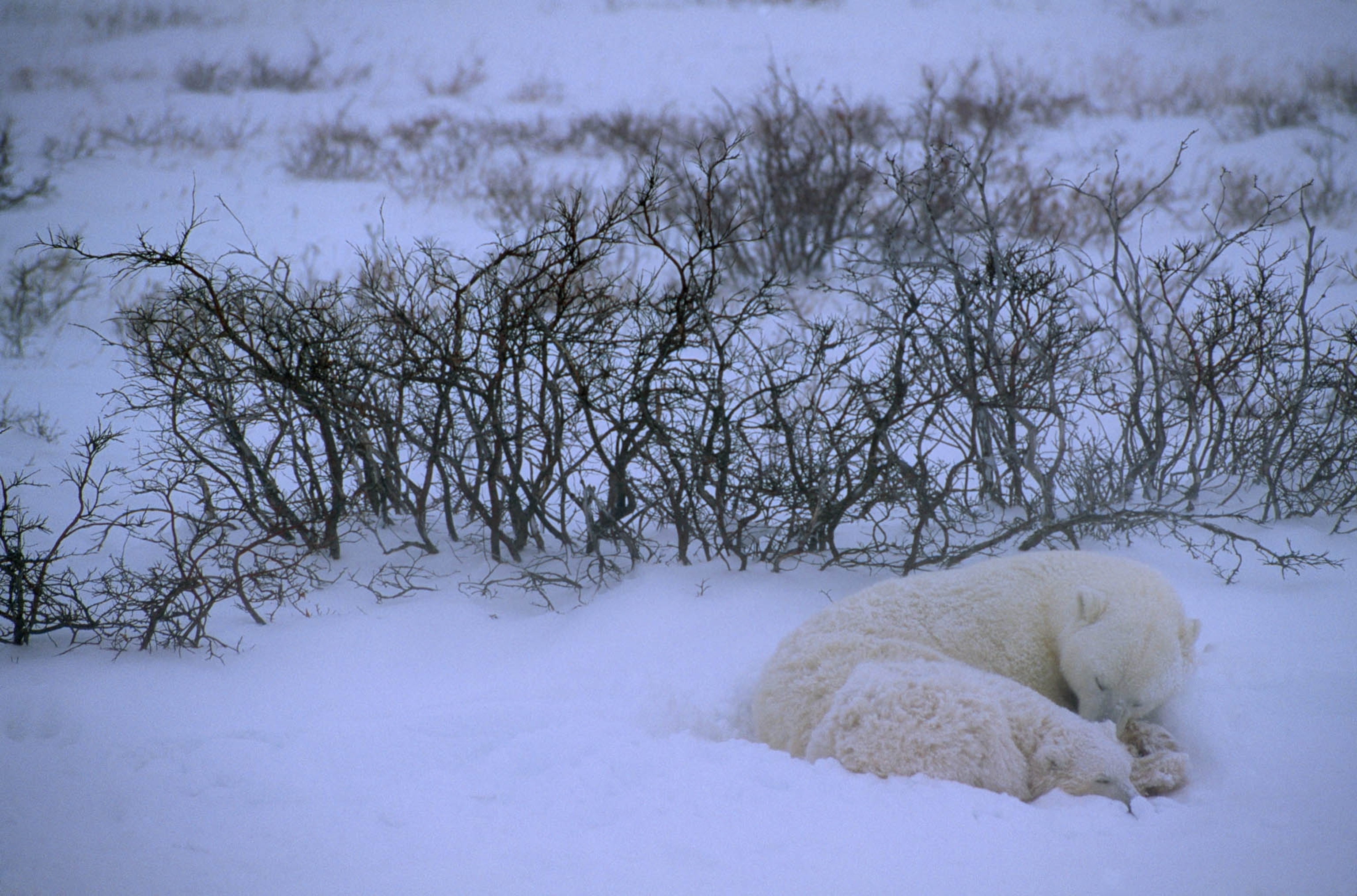 pod-27-02-2021_nationalgeographic_503793.jpg
