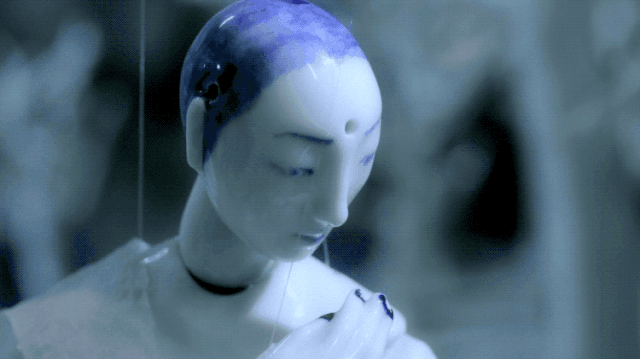 IMG_8557.GIF