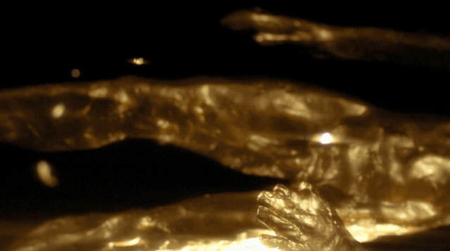 IMG_8575.GIF