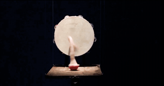 IMG_8586.GIF