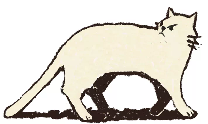 IMG_8905.PNG