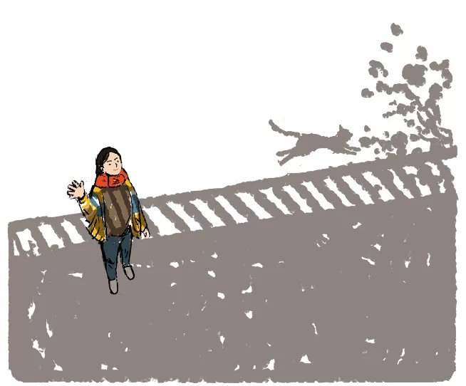 IMG_8982.PNG