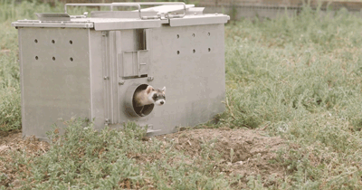 IMG_9723.GIF