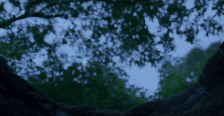 IMG_0090.GIF
