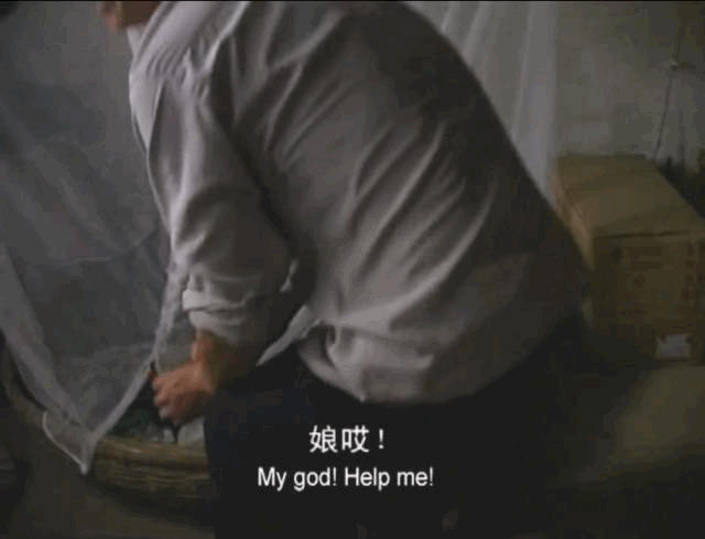 29.gif