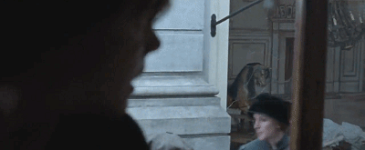 IMG_1524.GIF