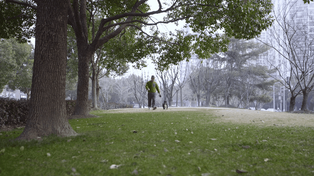 IMG_1090.GIF