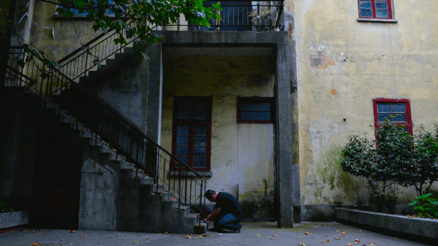 IMG_1178.GIF