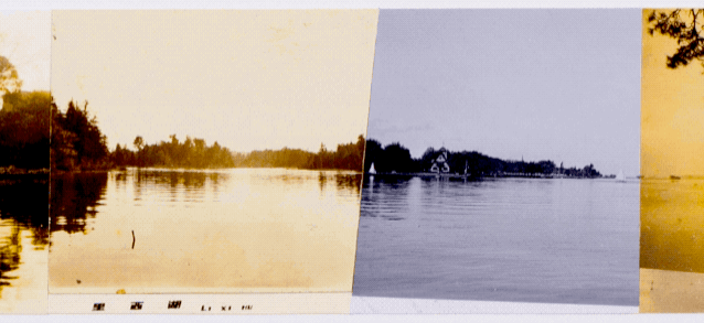 1.gif