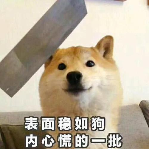 心慌.jpeg