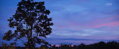 28.gif