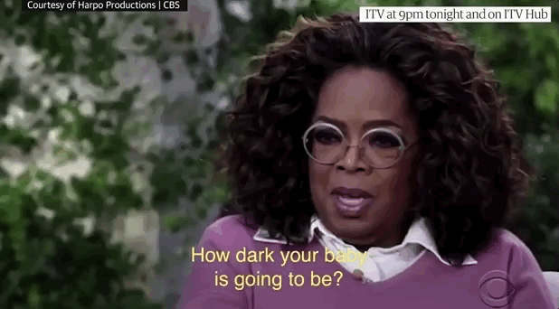 41.gif