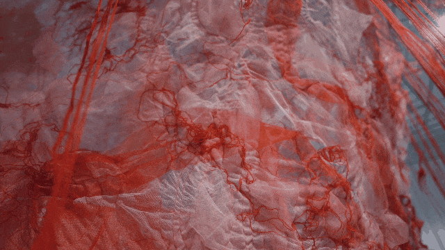 8.gif