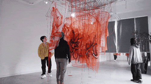 11.gif