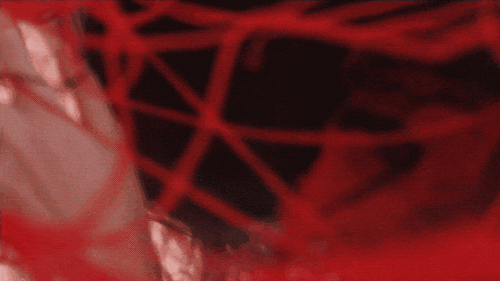 15.gif