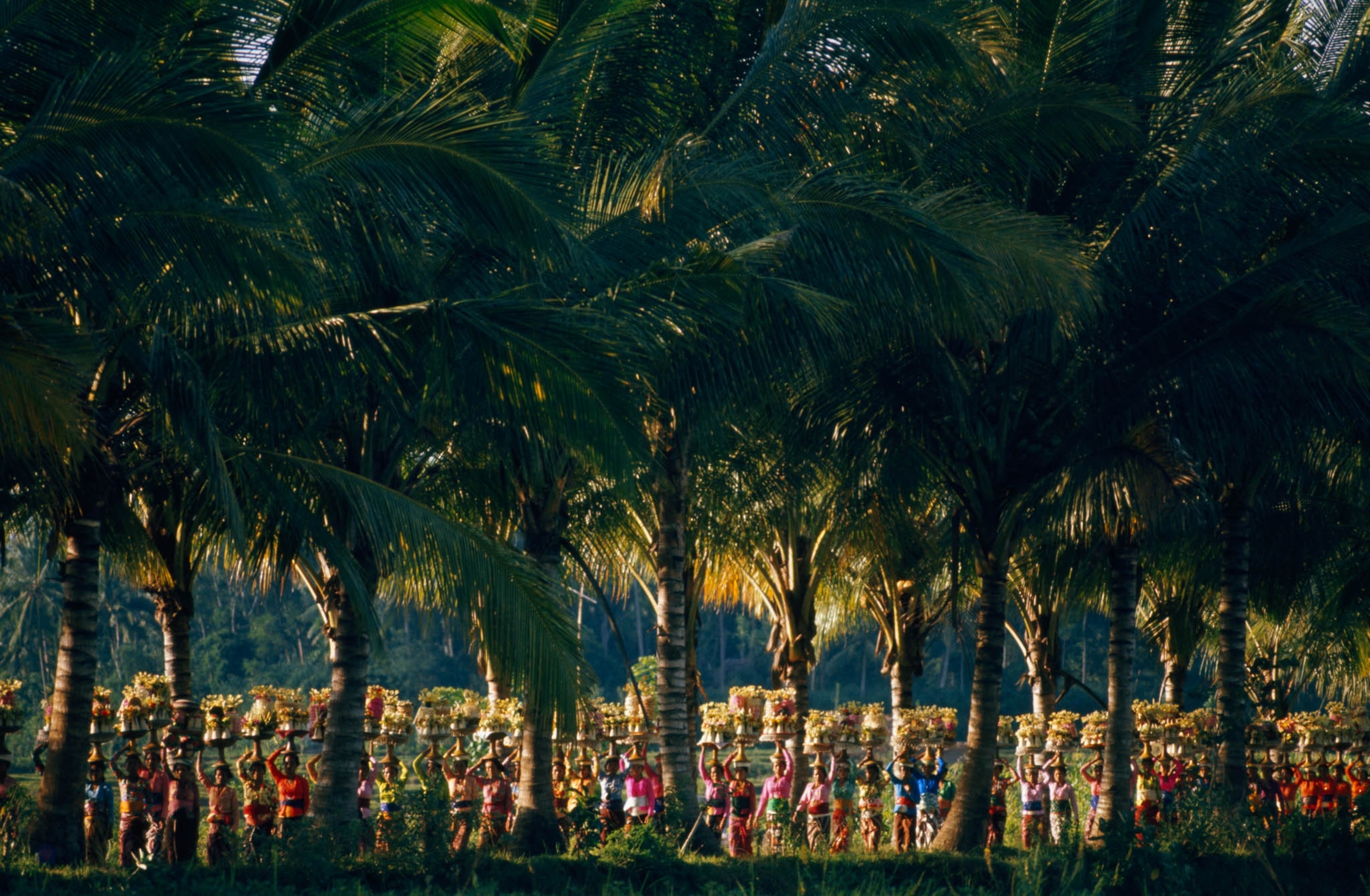POD-12-03-2021_NationalGeographic_617820.jpg