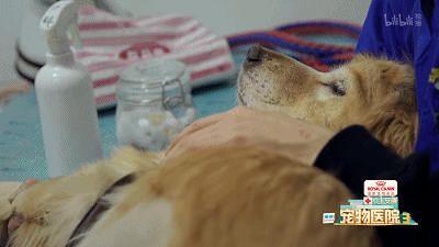 16.gif