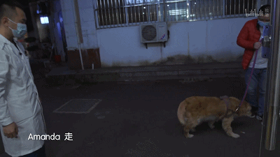 22.gif