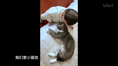 28.gif