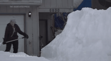 6.gif