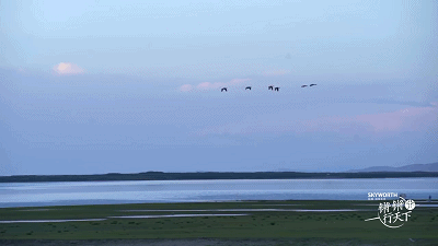 59.gif