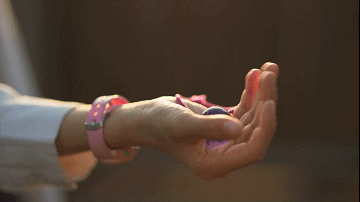 17.gif