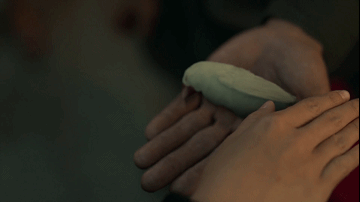 21.gif