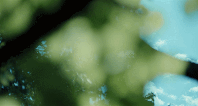 22.gif