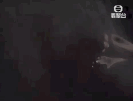 11.gif