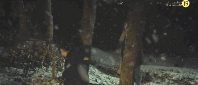 22.gif