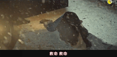 26.gif