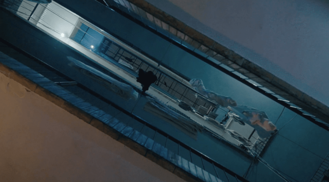 20.gif