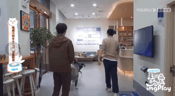 33.gif