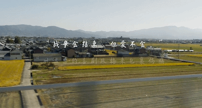 19.gif