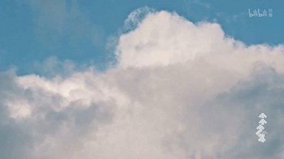 56.gif