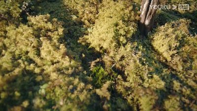 4.gif