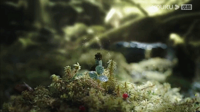 7.gif