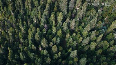 5.gif
