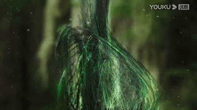 8.gif