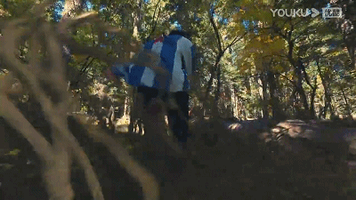 10.gif