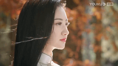13.gif