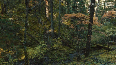 27.gif