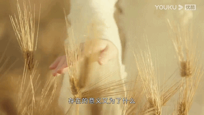 52.gif