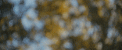 48.gif