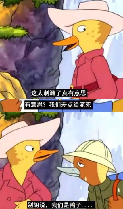 13.png